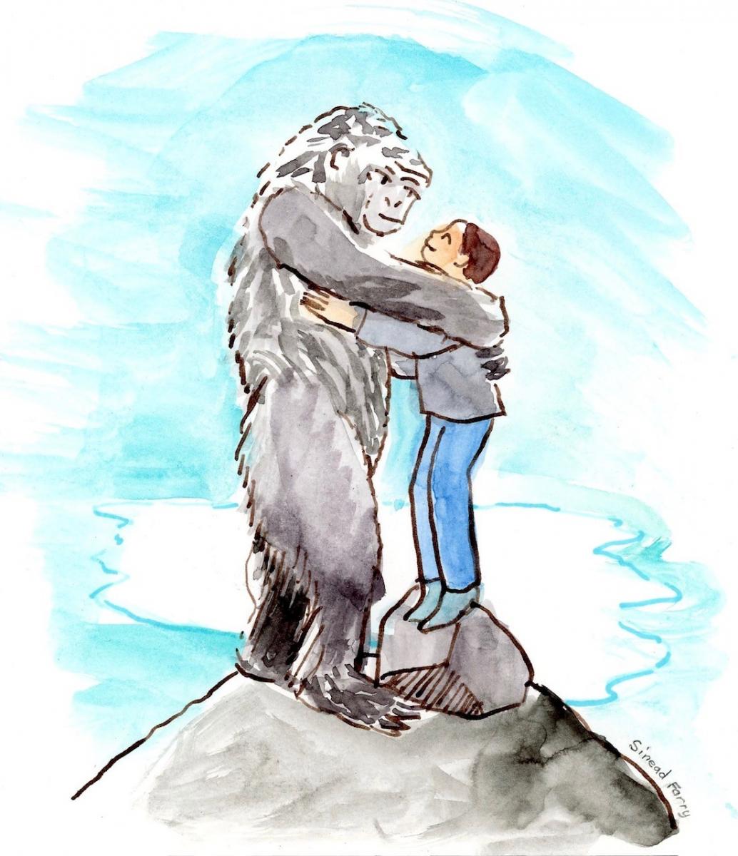 A gorilla standing on a mountain hugging a girl