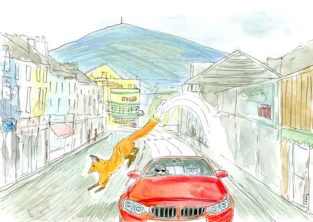 Illustration by Sinead Farry of Strandtown PS Story, "Mission Impawsible for Fox"