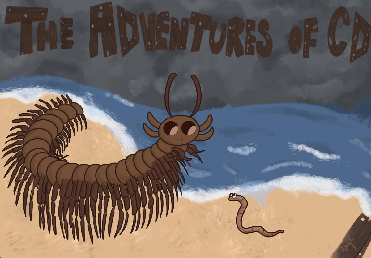 A centipede and a worm stand on a beach 