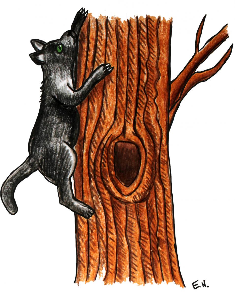 Katie's Adventure - Whiskers the black cat climbs a tree - artwork by Eileen Neill