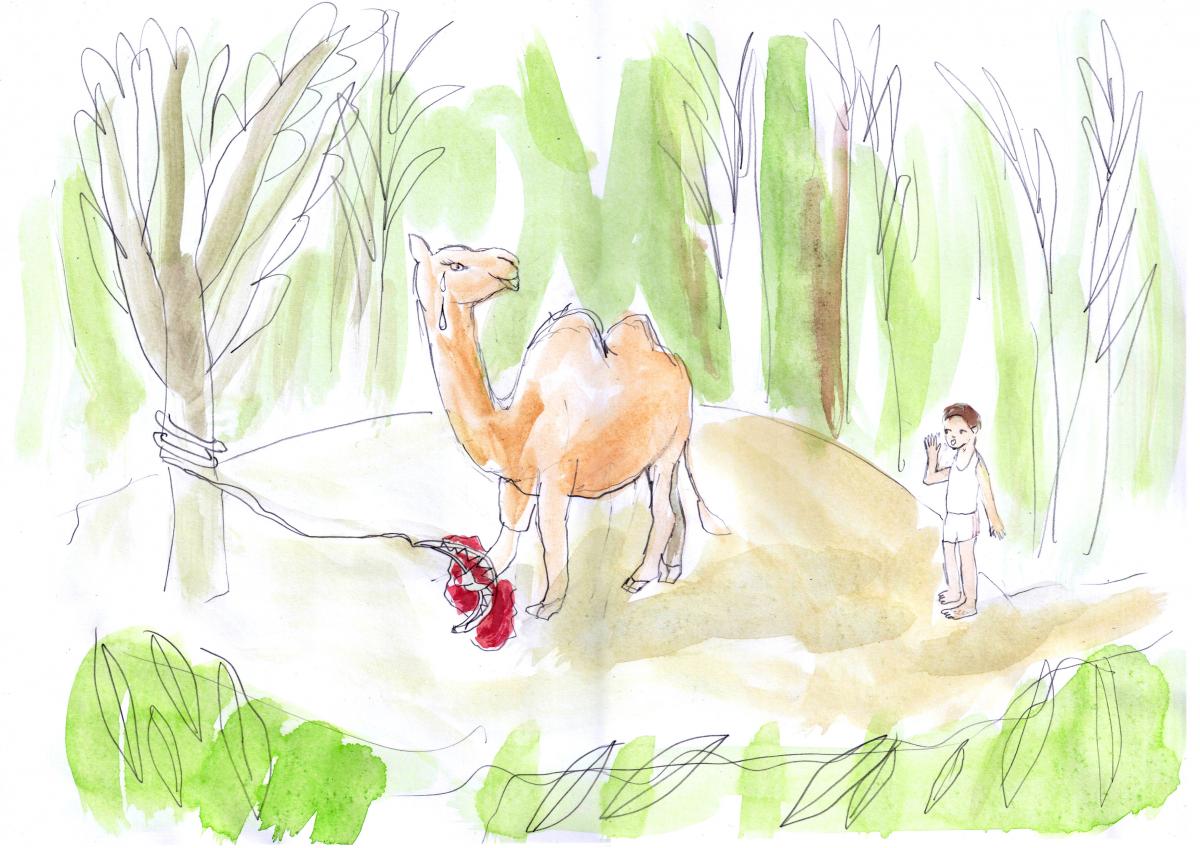 Sketch of a camel crying, with a boy talking to it.  The illustration for the story 'The Golden bananas' written by Scoil An Droichid R7